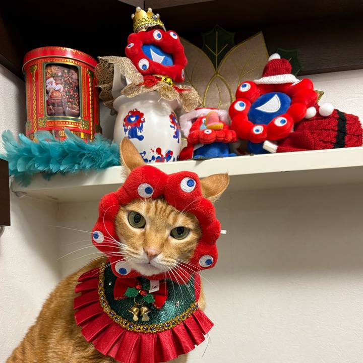 E1cccf83 87f8 4448 9e57 39815fbd61d7 1763764187586