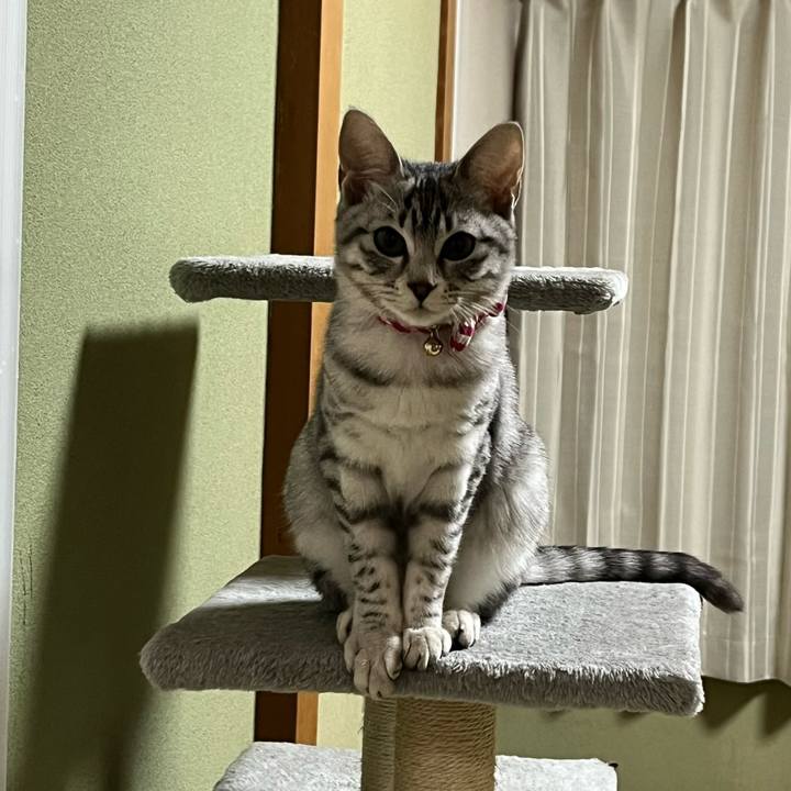 E1ccd822 4b57 4844 9861 3c759b365648 1705485537327