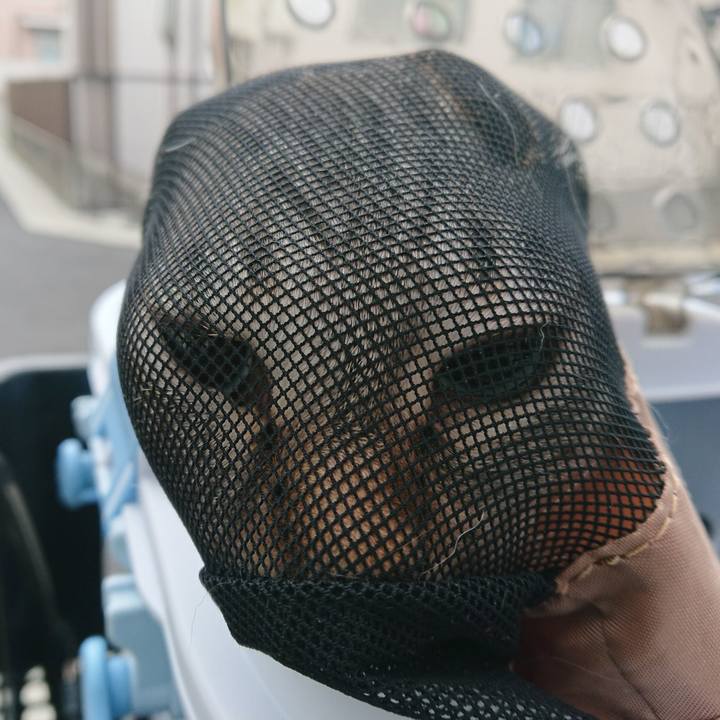 E1cd2b10 37b2 4036 914d 95286a51c791 1529778596859