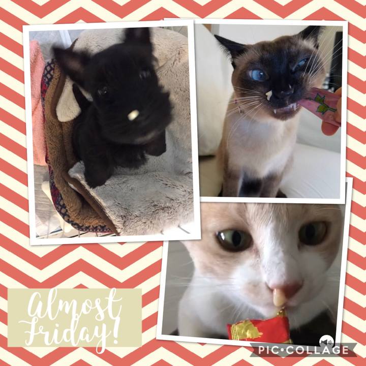 E1cd54ef ec6e 42d5 9971 cb7c8d56743a 1535617807805