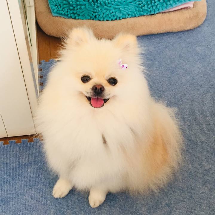 E1cd5e87 3bd4 4116 8b53 24f74b1ceb34 1561698437917