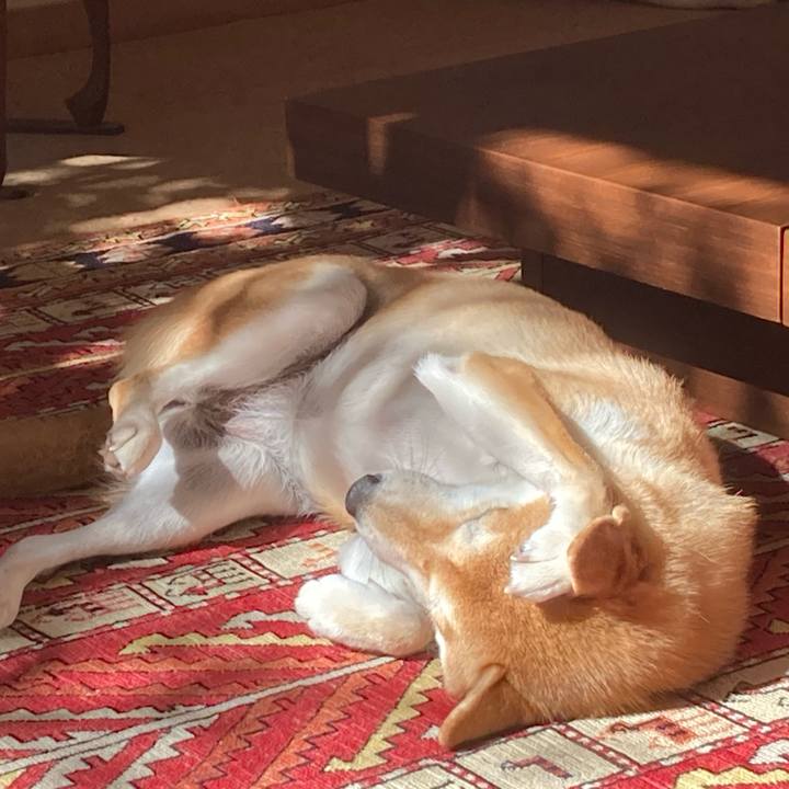 E1cd6cd6 14be 427b 9820 c63db43031c6 1699927873863