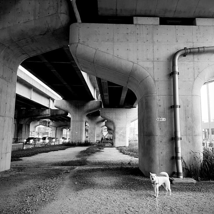 E1cdaaf0 9e54 49fd 9d01 5d522e9634db 1731629822644