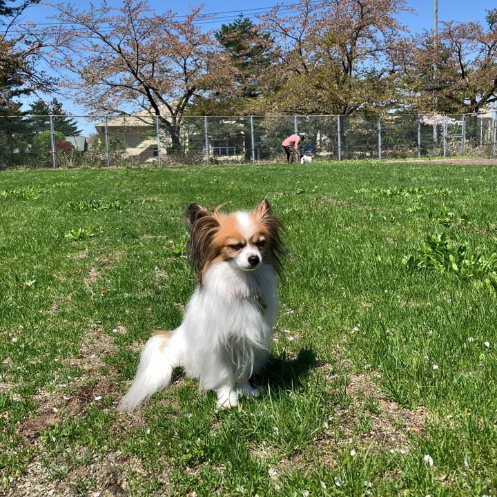 E1cdb4d0 4e76 4f7e b100 fd64eb65c8ee 1556965926917