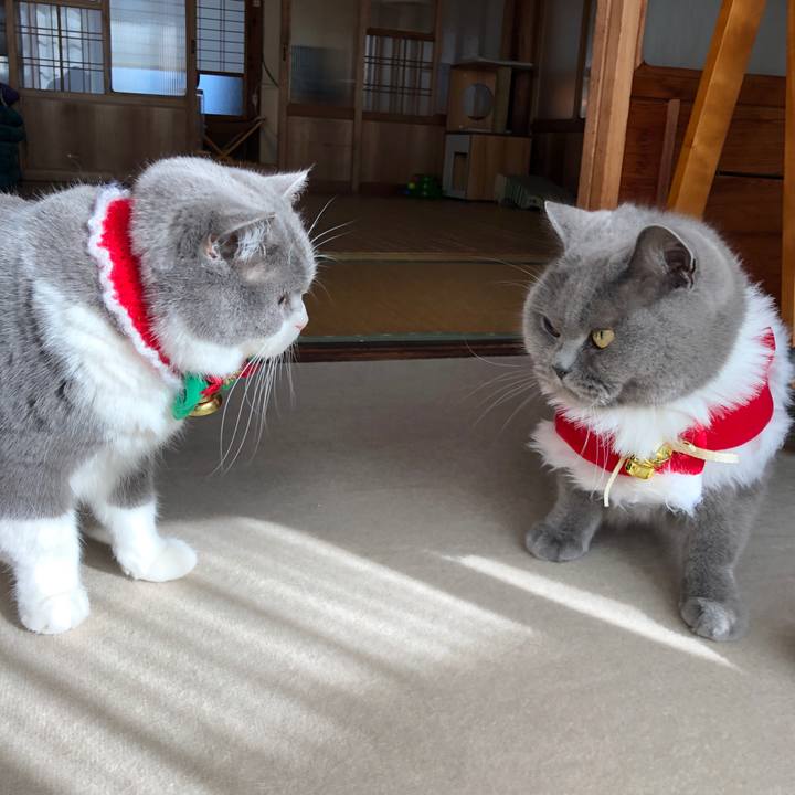 E1cdd764 47d3 4e07 b492 46b58ce1342b 1577271870080