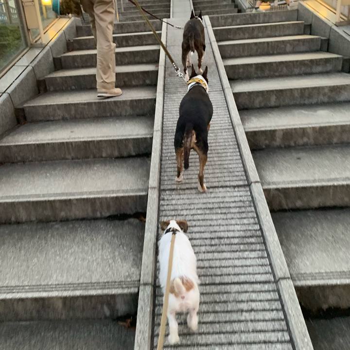 E1cdf23b 47b2 44fc 80e6 9c57e910433d 1564325937807