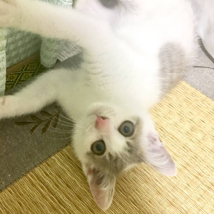 E1ce133c ffe4 4d6f 90cc 10d1d2333a21 1511272548392