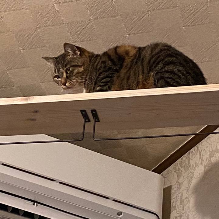 E1ce3903 c447 42e8 964b 6459d7ba2cbd 1577022116870