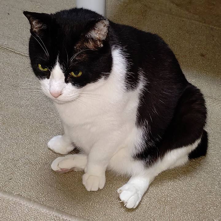 E1ce46fe 7f13 4940 a02d c88424437401 1617533806808