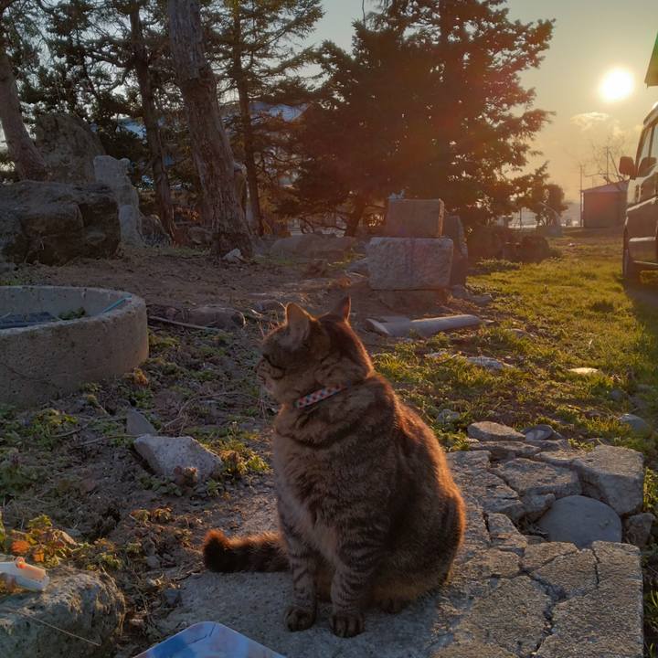 E1ce6280 49d8 45b4 8678 9862b3ed6dad 1680424284100