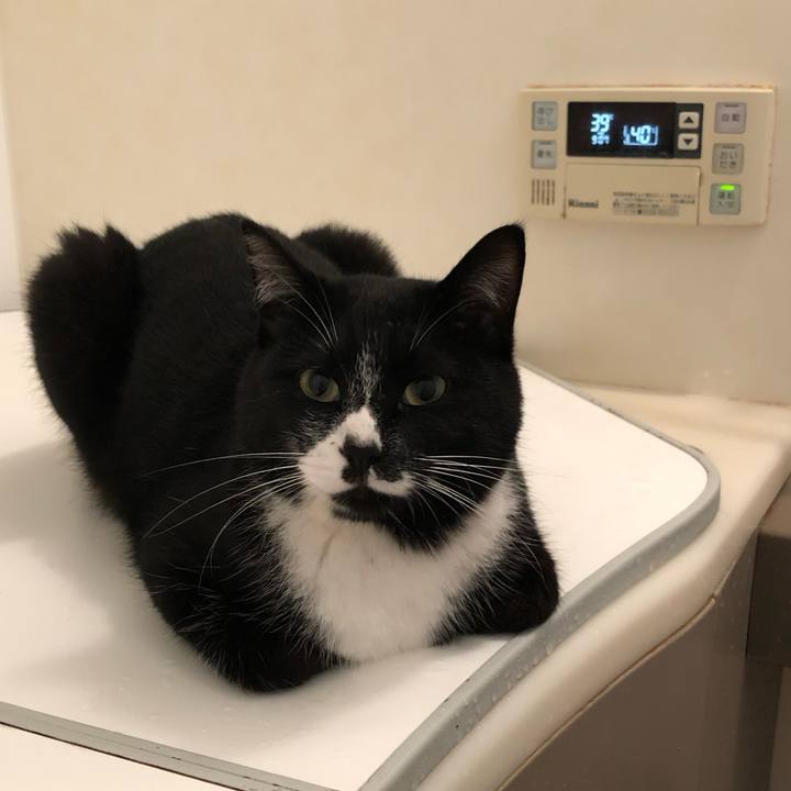 E1ce7ca2 efc7 4fd2 8764 a5745f2e5e33 1552553831576