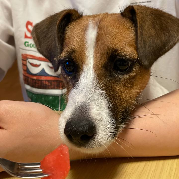 E1ce8ded c20e 4439 bad4 6bfeaec51c93 1629631864092