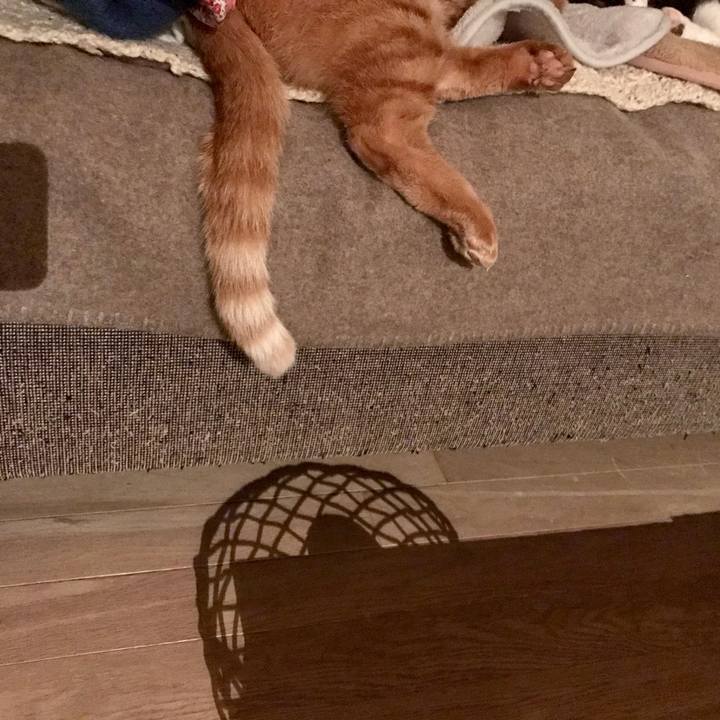 E1cec6a9 a9c0 4dbf b272 a4710d40f237 1578842521982