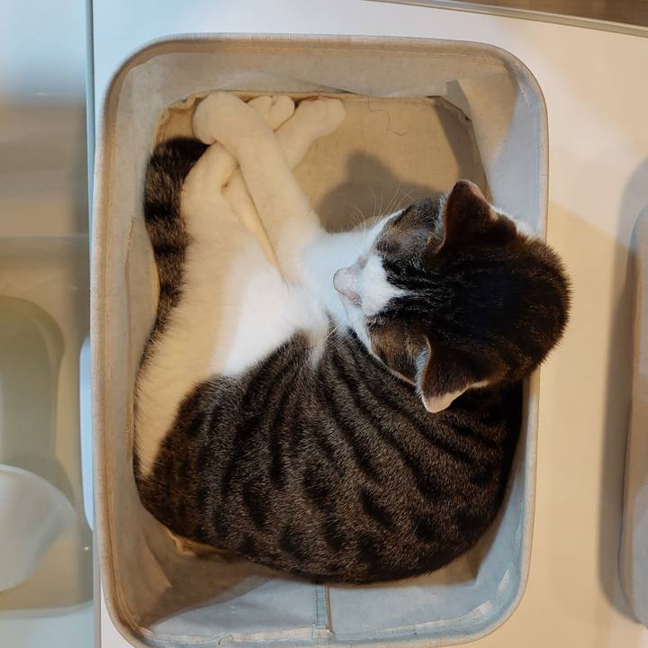 E1ced6e8 1473 4f93 a762 064df59926f7 1722893713549