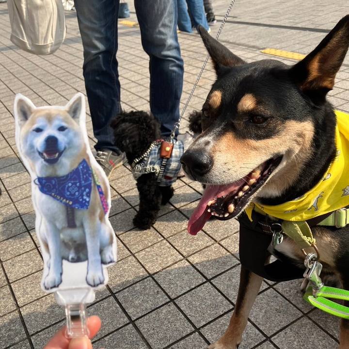 E1ced8c4 0e2e 4a55 80e9 f1e521eda768 1699290027432