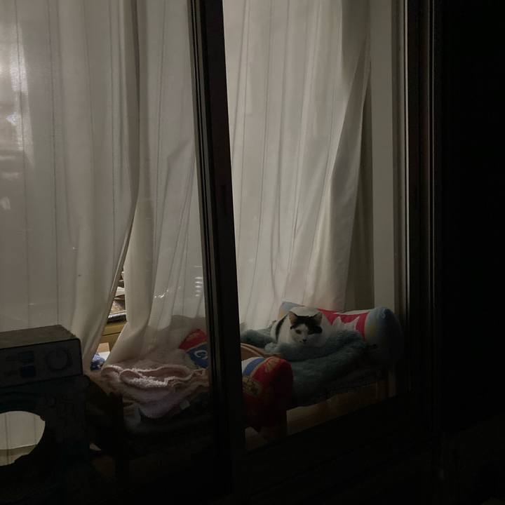 E1cee06a 754b 4ee0 aaeb 61e960f7da60 1766045743838