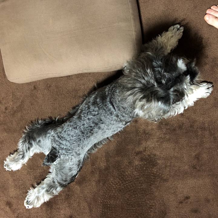 E1cef64f a9a3 4093 9747 ec33d448a38d 1527715559406