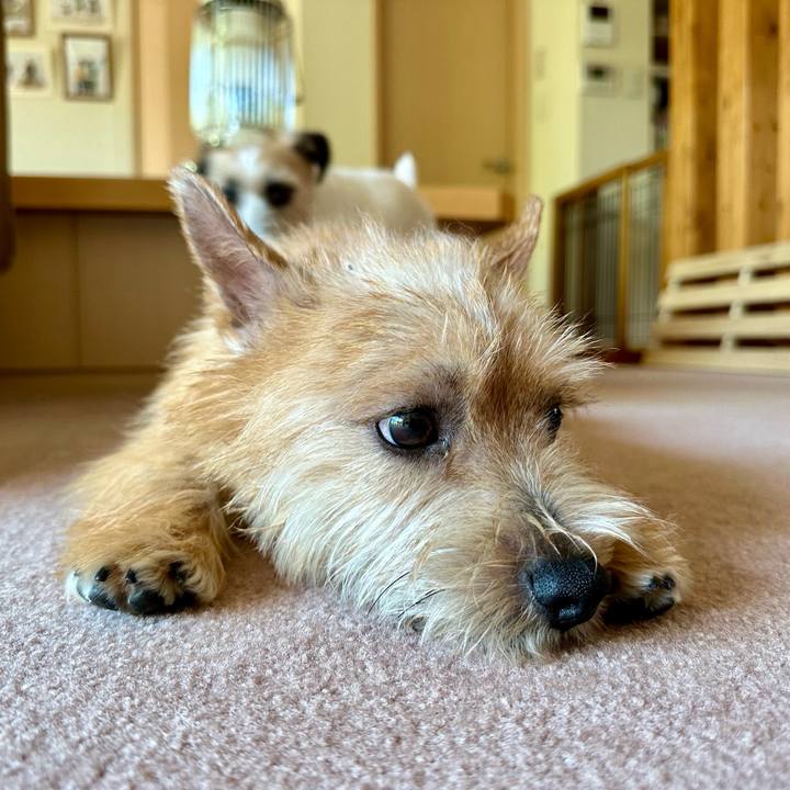 E1cefb1a b01a 4997 af86 5537e0e1c63e 1714886506323