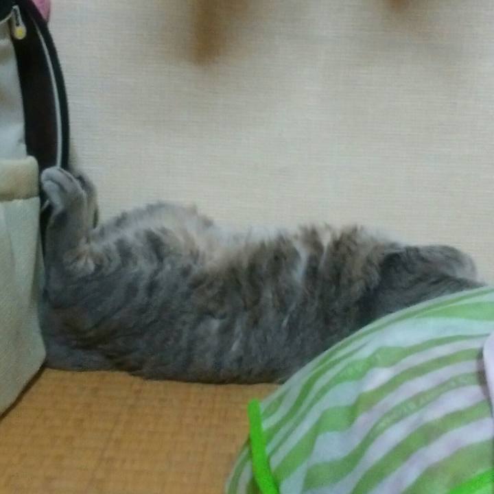 E1cf1a18 4aa3 4a81 8171 ed5303e3c7f7 1529689299636