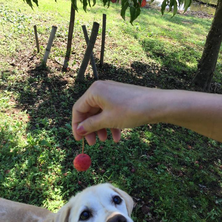 E1cf1df4 5135 4b48 9d0a 486a651d0483 1569972691298