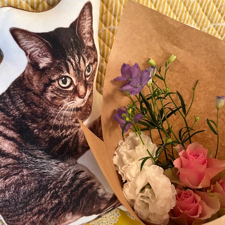 E1cf5226 ee95 4c0a afb8 1571fe3b064a 1763794642235