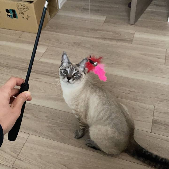 E1cf57cb e42d 43ff 8df6 4f5009d549e0 1607145878708