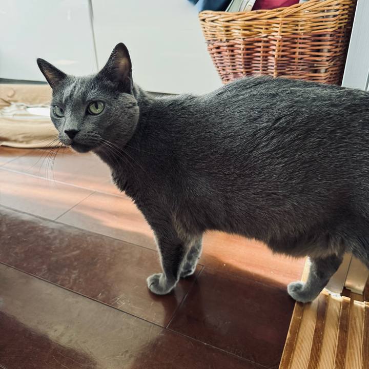 E1cf6038 d7ff 4b3b a531 236125768072 1768565530540