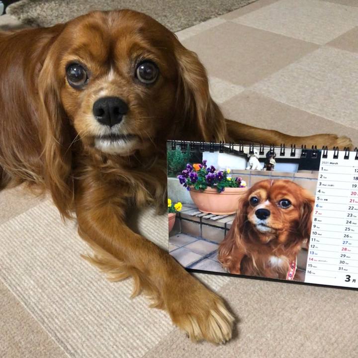 E1cf6989 a46a 4287 a9e6 a607ad7fa195 1614549904949