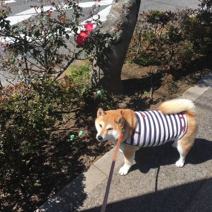 E1cf8437 d585 4b29 87e4 19a3b9878130 1552876816299