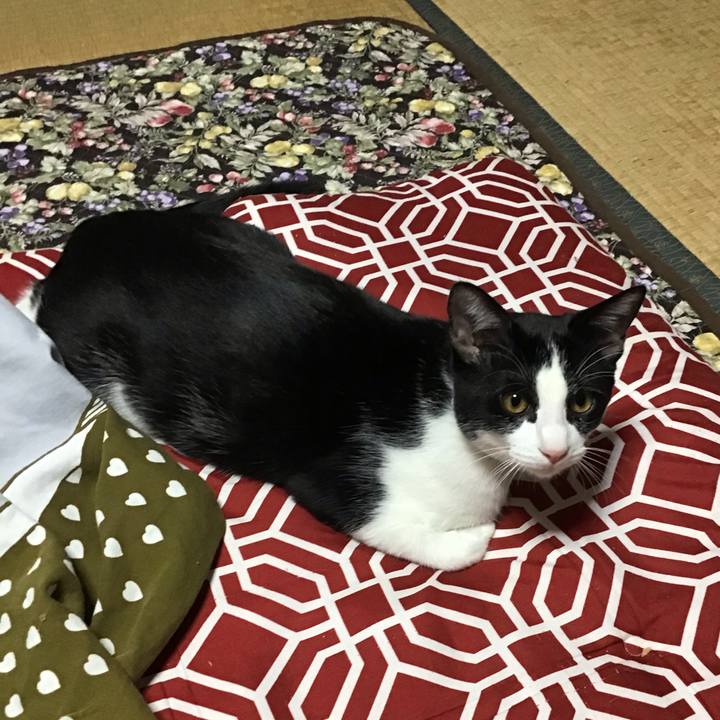 E1cfa5cb b829 4bb6 afc5 9cec40dbaa12 1635071240516