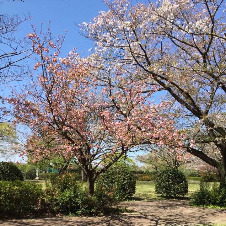 E1cfa84b c990 4a70 81fe a7c0f8c80581 1555380335047