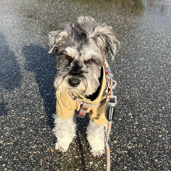 E1cfe0a0 091f 4bfa 98e6 e2fd703a52f2 1767278523606