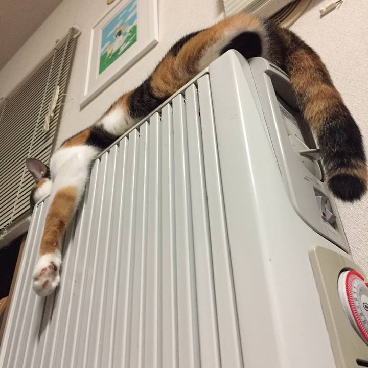 E1cfec7c be17 463b a7c4 5828a50fc24c 1588785377149