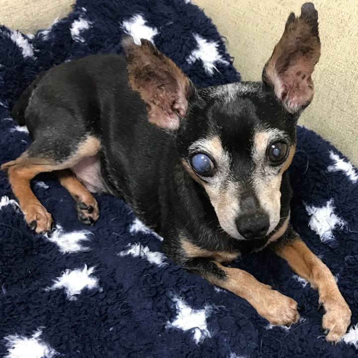 E1cffe08 103e 4546 b0b1 00f27ed8ece1 1567984601390