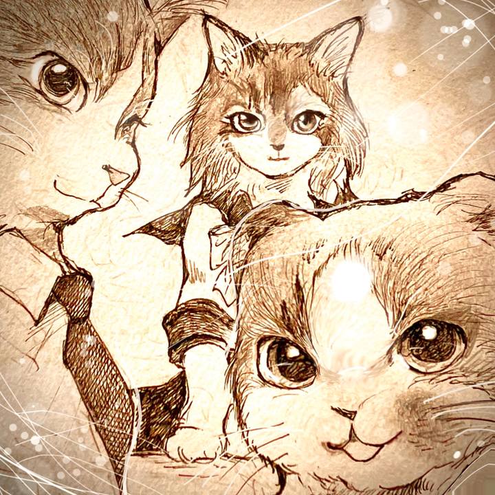 E1d071ec d88c 488d 9260 6c0ce742507c 1721722466761