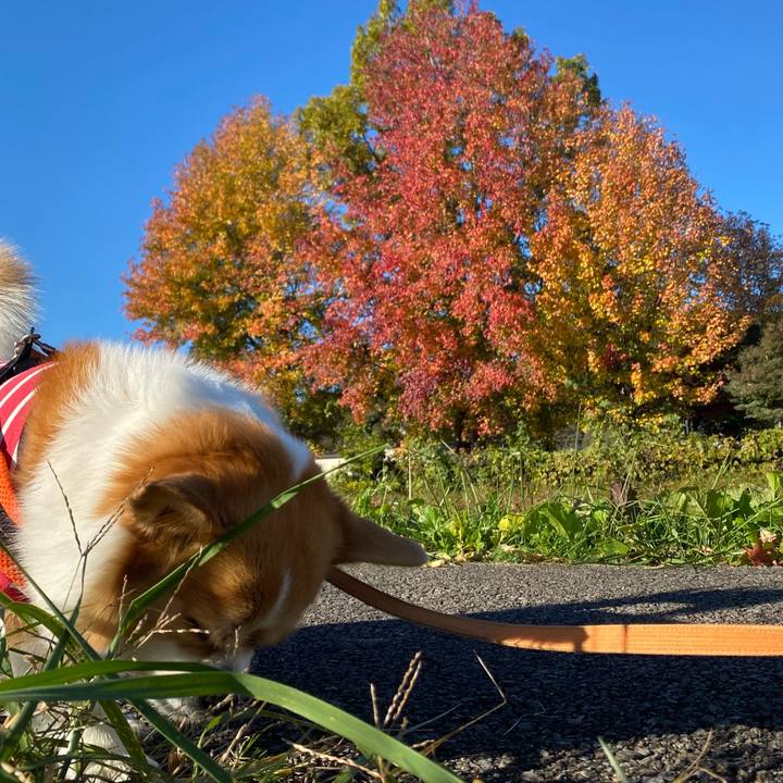 E1d07d40 940d 4700 ac32 d3b6d17d7eff 1732415789240