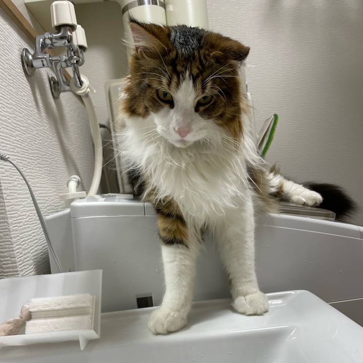 E1d07e12 68be 47a4 bfa2 8a4c3776d415 1650403445679