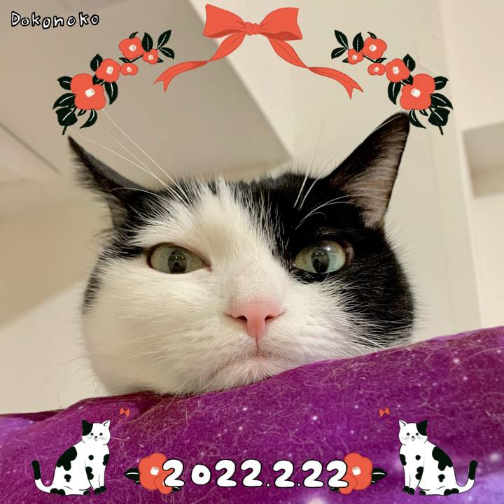 E1d0800d 3cf4 4fe5 9b39 24cb3cc5ecc6 1645514867479