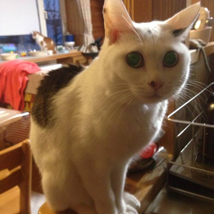 E1d0c33e 15b6 4290 a8d0 bcb96d877b44 1512595160133