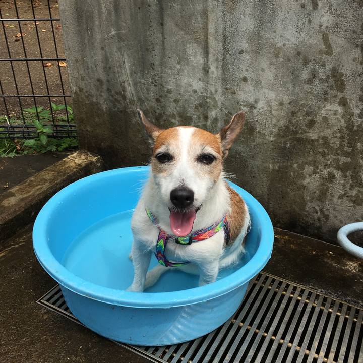 E1d0f4e3 fc1e 4475 bef8 7f24fa0f88fa 1626046230807