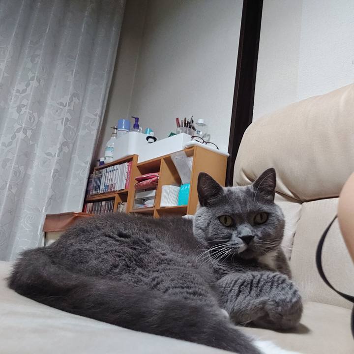 E1d0f710 0c0d 4a34 ba44 fcb05f365b6d 1699873601527