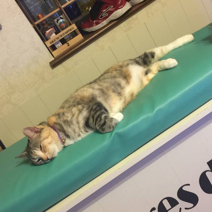 E1d1a87f 0f5c 4106 a956 d0338fb52386 1559827024267