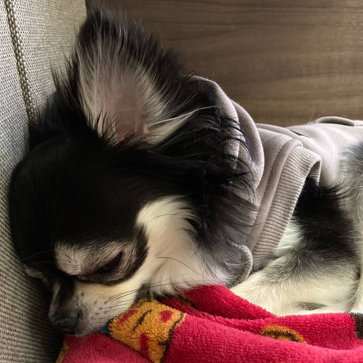 E1d1d1f8 c0e4 4f15 a22b 6b0acf901b5f 1676777395634