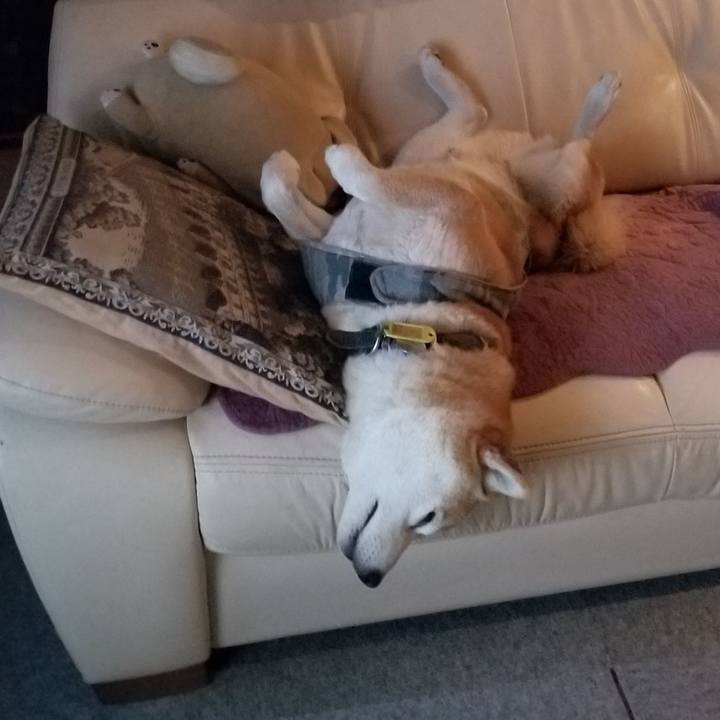 E1d1ed1d 6e25 4606 a7f4 c9ed7d7ff6cc 1616418248790