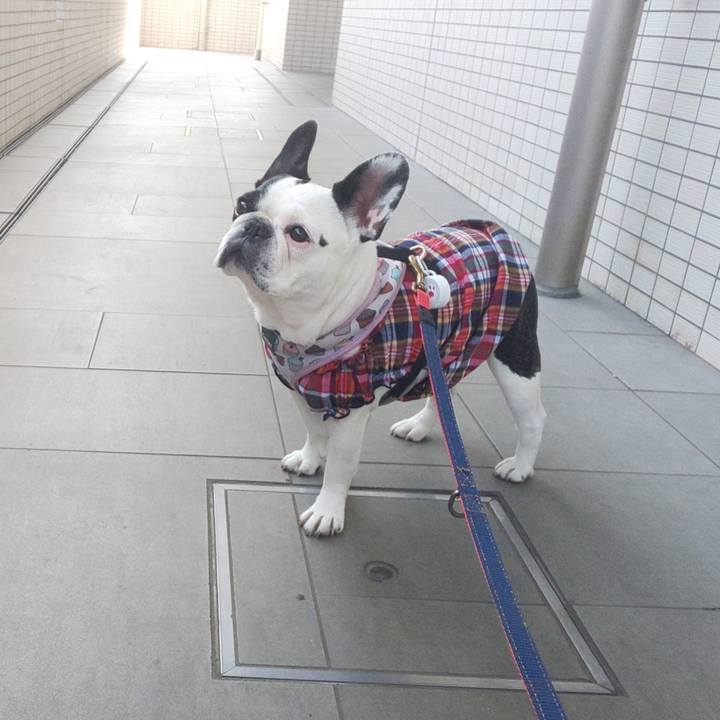 E1d20202 744f 4b3d aa32 7e9864e3d085 1620527717172