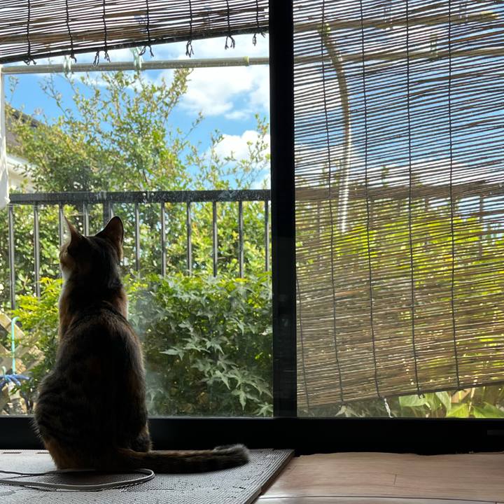 E1d20dc0 7e79 4ac0 bd06 138adc017a62 1662898849738