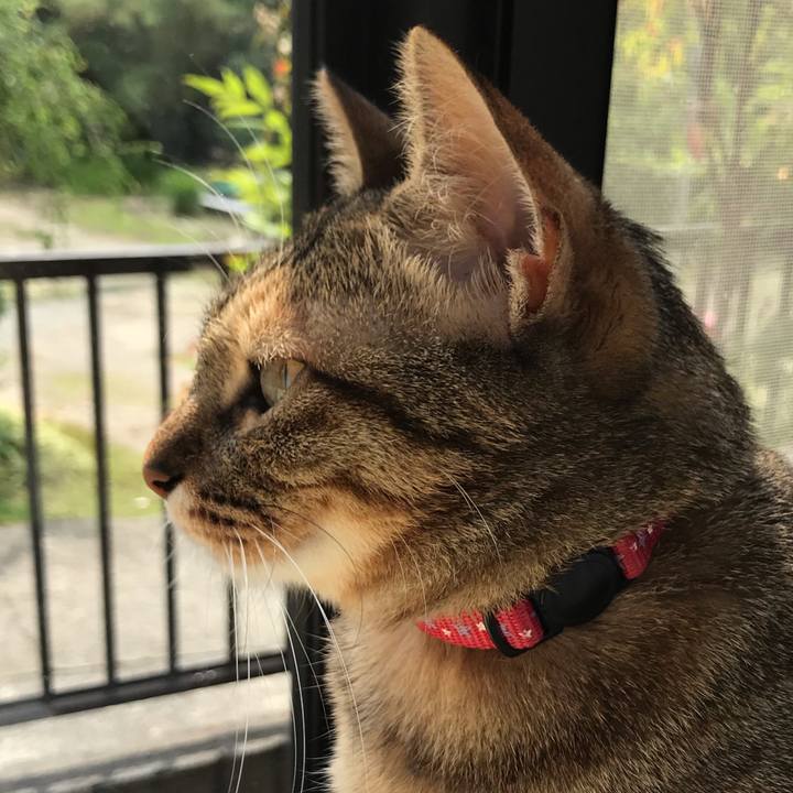 E1d22c77 abbb 4c86 b72b 798f5539a2a7 1592440098391