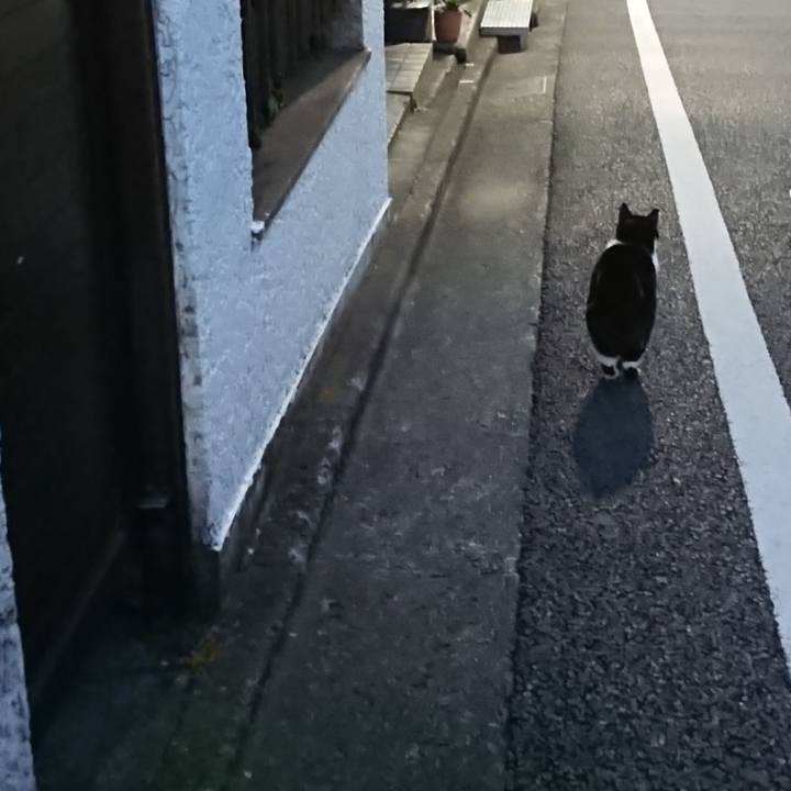 E1d259a4 62d9 46ab a41e 18507b68efa1 1671615213122