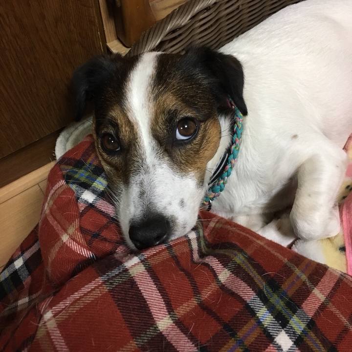 E1d28e84 b517 44ba b001 813648bee276 1507882366703