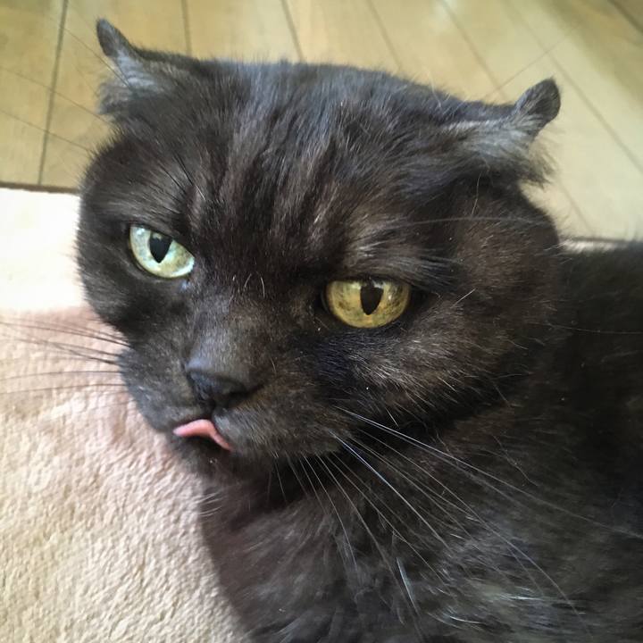 E1d292b9 33a8 4f63 a23c 37814cb17a7d 1582517453766